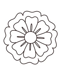 vector illustration of a flower