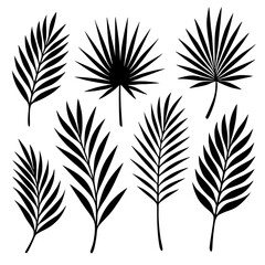 Silhouettes of palm branches and leaves