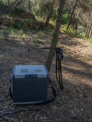 Portable cooler and tripod leaning against a tree in the forest