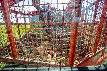 Inside view from cabin of agricultural machine, beet loader
