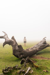 Woman by dry tree in mist, vertical