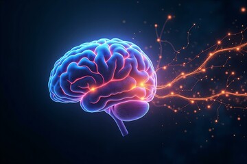 Human brain with neural network connections, representing intelligence, science and cognitive functions for neuroscience.