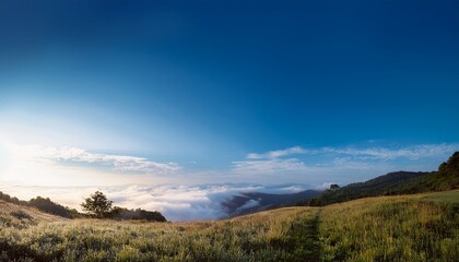 blue sky in the morning