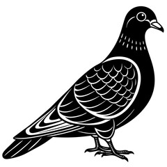 dove of peace