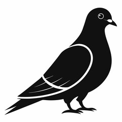 Fototapeta premium dove of peace