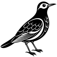 Fototapeta premium bird on a branch
