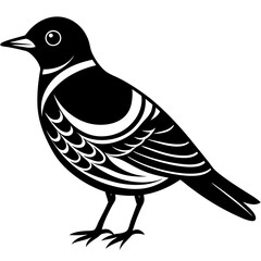Fototapeta premium bird on a white background