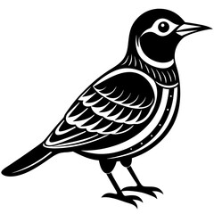Fototapeta premium bird on a white background