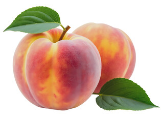 peach isolated on white