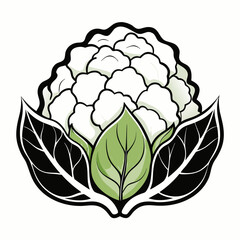 vector illustration of a green leaf