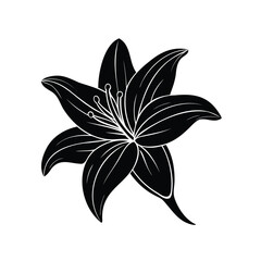 Detailed black and white illustration of a blooming lily on white background
