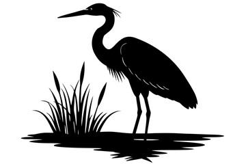 Obraz premium Elegant heron standing near cattails silhouette vector illustration