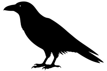 Standing crow black bird animal wildlife silhouette vector illustration