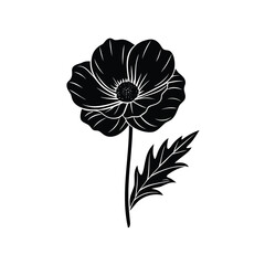 Elegant Black and White Anemone Flower with Leaf Vector Illustration