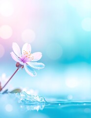 Fototapeta premium A vibrant flower with delicate petals glistening under the sunlight, adorned with sparkling water droplets that enhance its natural beauty.