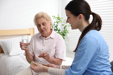 Obraz premium Nurse giving pills to senior woman indoors. Home health care service