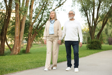 Lovely senior couple walking together in park