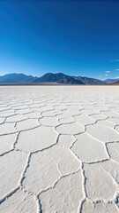 Fototapeta premium Vast salt flats under a clear blue sky with distant mountains