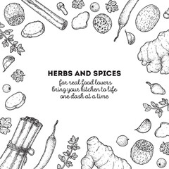Latin American herbs and spices hand drawn vector illustration. Aromatic plants. Hand drawn food sketch. Vintage illustration. Card design. Sketch style. Spice and herbs black and white design.