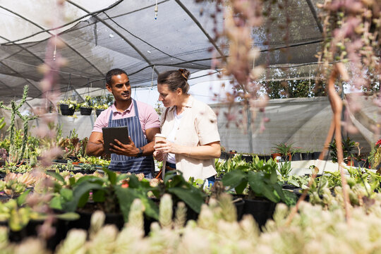 Man in apron with tablet and woman customer holding coffee cup inspecting succulents in greenhouse