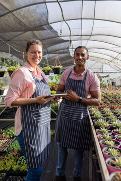 Diverse coworkers holding tablet tending succulent rows in greenhouse with drip irrigation tubing