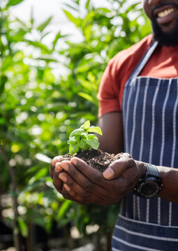 African American man wearing apron holding soil and planting bright green seedling in greenhouse