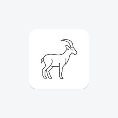 Ibex, vector, pixel perfect, illustrator file