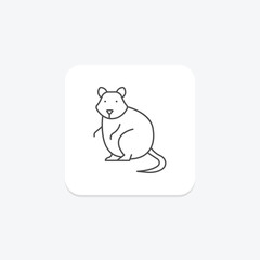 Quokka, vector, pixel perfect, illustrator file