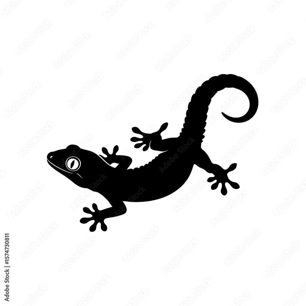 Poster silhouette of a gecko with a curled tail and visible eye on a white background in a vector format