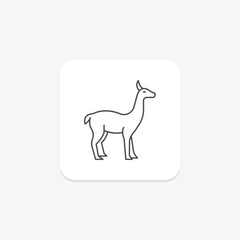 Vicuna, vector, pixel perfect, illustrator file