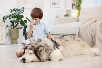Boy suffering from allergy with her dog at home