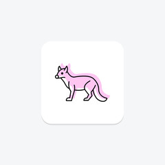 Civet, vector, pixel perfect, illustrator file