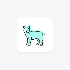 Lynx, vector, pixel perfect, illustrator file