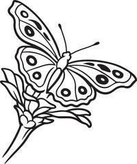 Butterfly on flower black and white drawing, Floral butterfly illustration for coloring