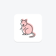 Quokka, vector, pixel perfect, illustrator file