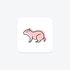 Agouti, vector, pixel perfect, illustrator file