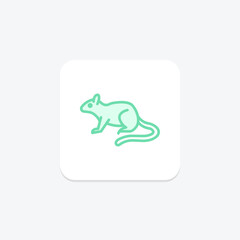 Tree Shrew, vector, pixel perfect, illustrator file