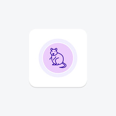 Fototapeta premium Quokka, vector, pixel perfect, illustrator file