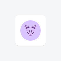 Musk Deer, vector, pixel perfect, illustrator file