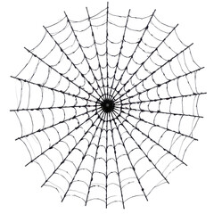 Obraz premium a detailed representation of a spider web with multiple lines radiating from the center, creating an intricate pattern against a black background