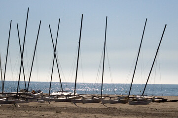 sailing school catamarans on the shore