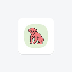 Chimpanzee, vector, pixel perfect, illustrator file