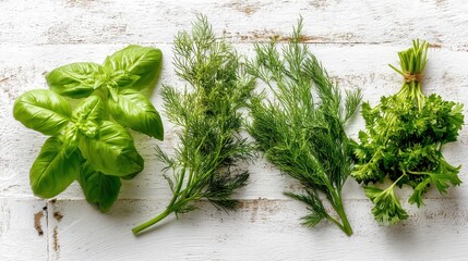 fresh herbs on a wooden table