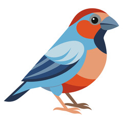 Alpha Finch Silhouette Vector