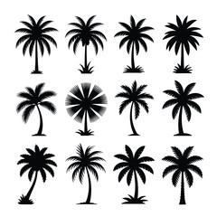 Tropical vector palm tree silhouettes for beach island summer vacation design