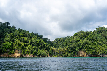 Paradise beach with palm trees, Togian Islands, Sulawesi, Indonesia