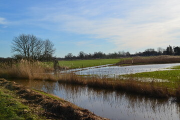 T&ouml;nnhausen_0023