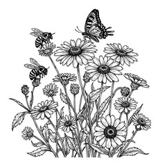 Wildflowers with Bees and Butterfly View Black and White Outline Line Art Drawing Botanical Engraving