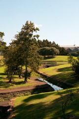 Puhinui Domain Park in Auckland on a Beautiful Sunny Day
