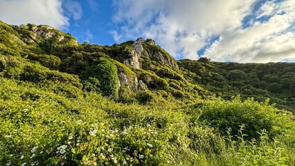Lush emerald hills bask under cotton clouds, perfect for Celtic Green Man Day wanderings or a...